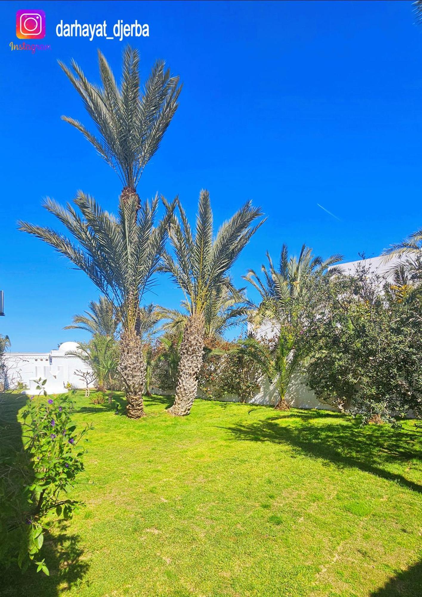 Dar Hayat Villa Triffa Buitenkant foto
